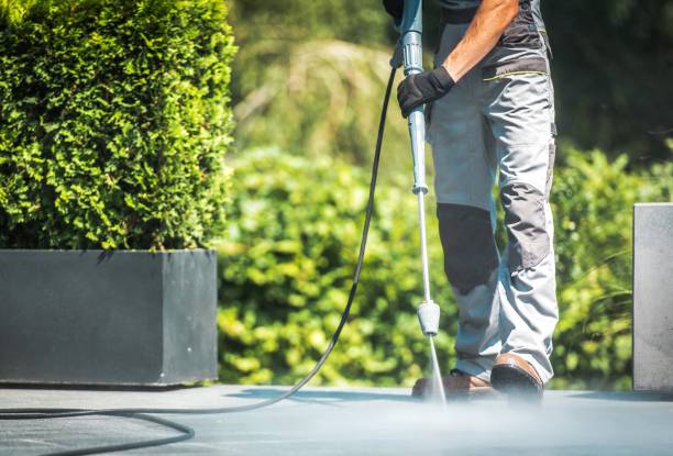 Best House Exterior Washing  in South Farmingdale, NY